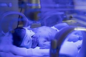 Noworodek w inkubatorze.
