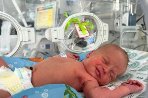 Noworodek w inkubatorze.